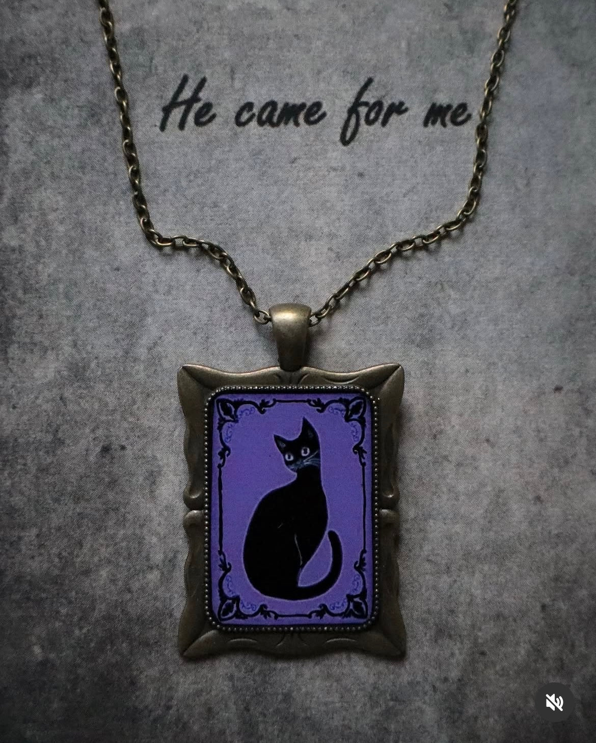 Witche’s Cat